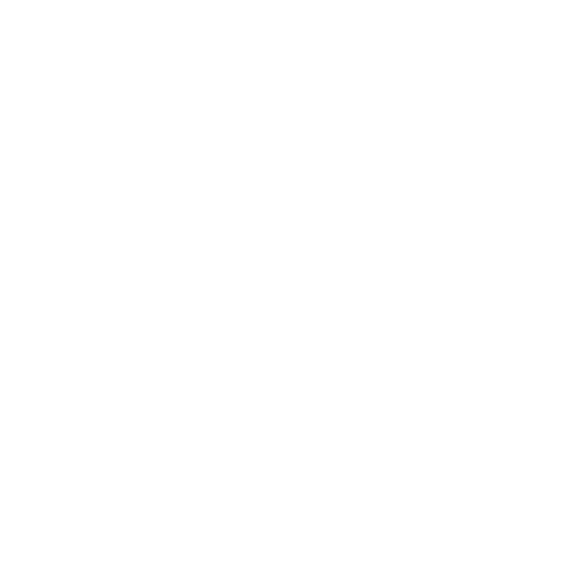 audit toiture éléments du site picto blanc maison simple
