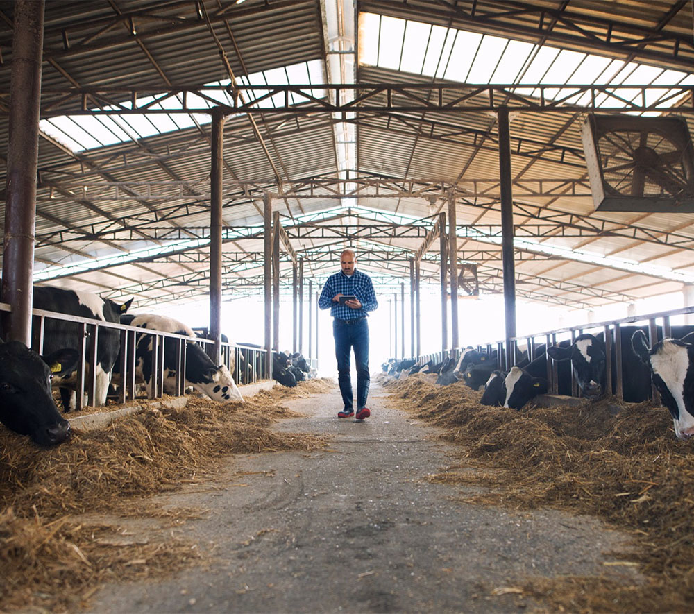 Diagnostic de toiture pour les professionnels Audit Toiture - Diagnostic de toit pour les exploitants agricoles