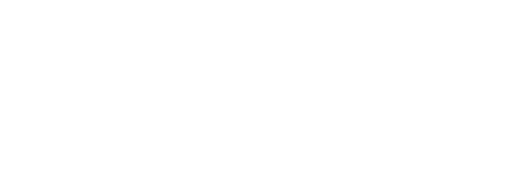 audit toiture logo final logo blanc horizontal